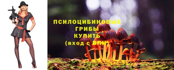 синтетический гашиш Абинск
