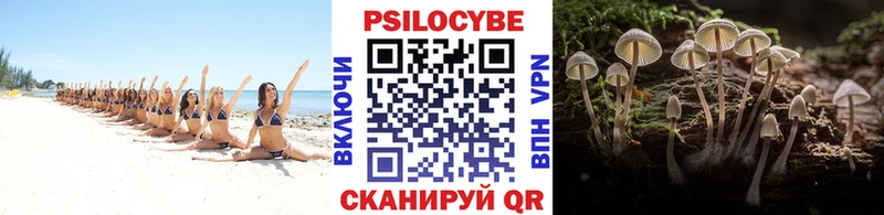 Псилоцибиновые грибы прущие грибы даркнет сайт Черногорск